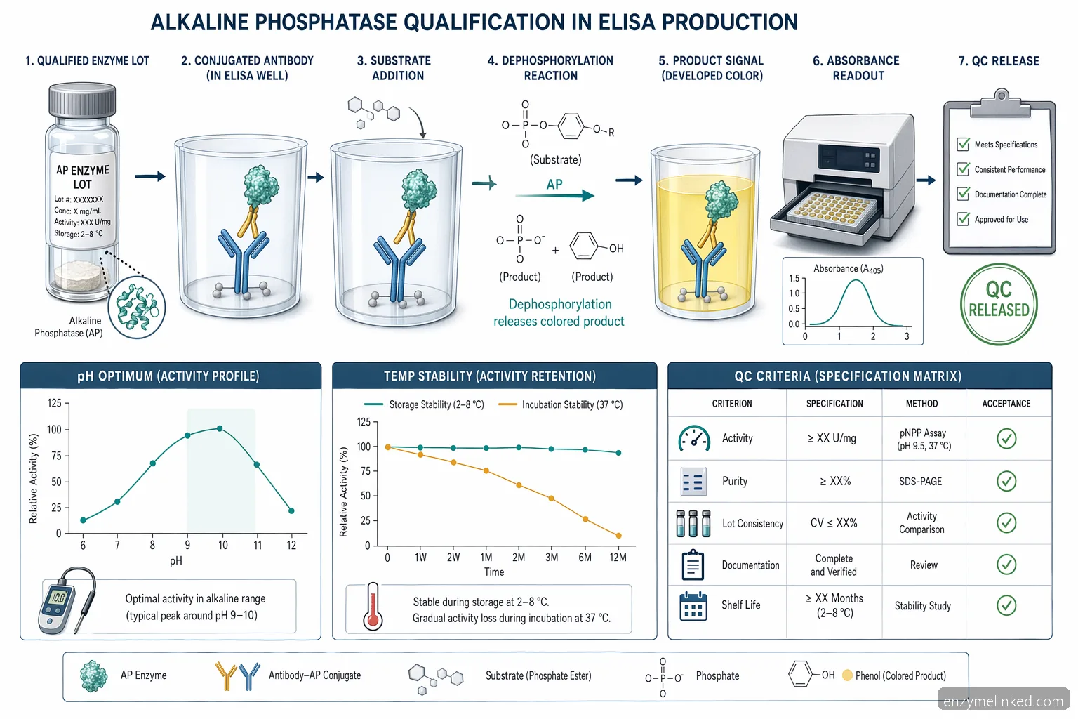Diagrama de flujo de alkaline-phosphatase para diagnóstico en ELISA, con reacción del sustrato, control de pH y liberación de QC