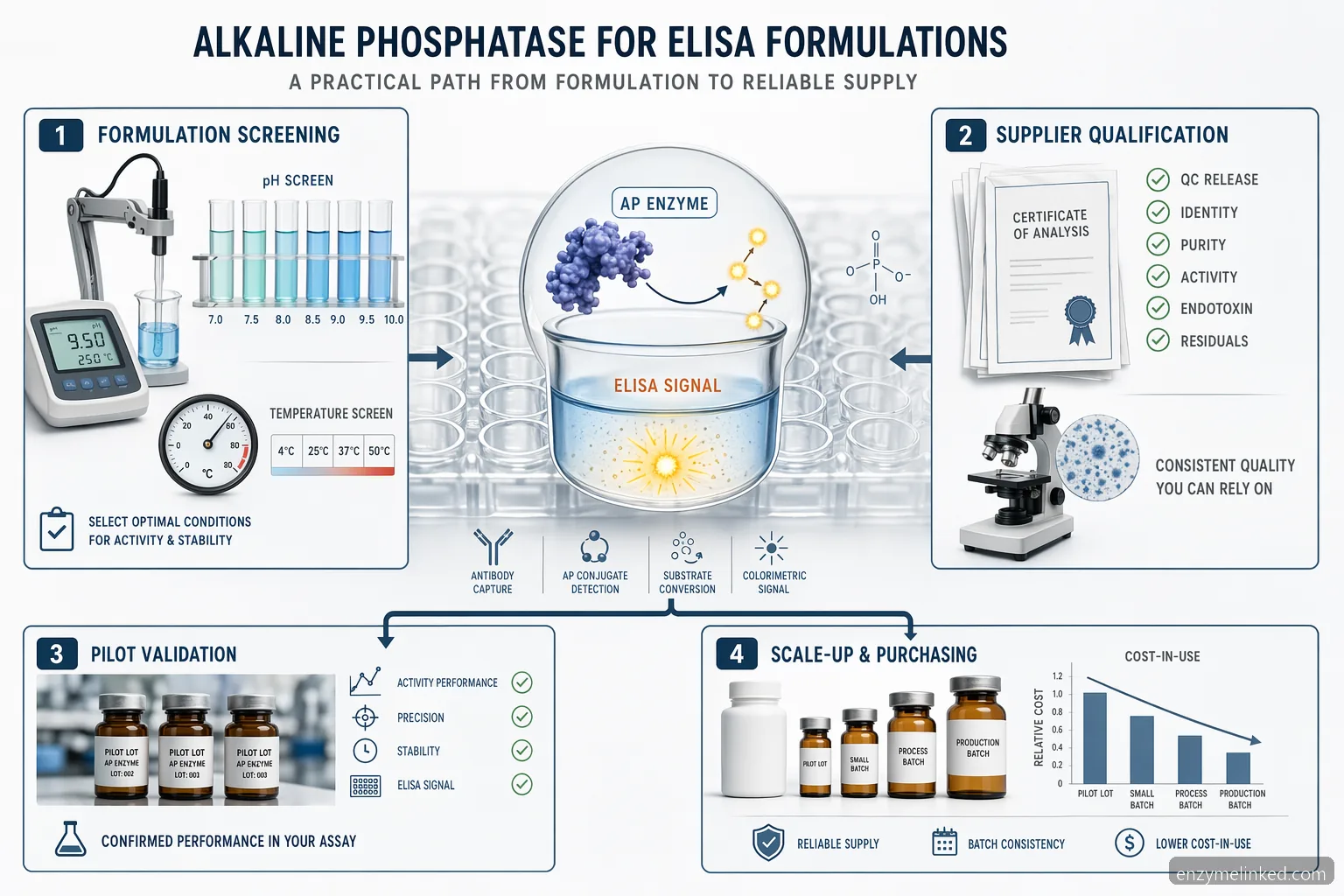 Guía de proveedor de alkaline-phosphatase para diagnóstico en ELISA, con selección de enzima, control de calidad, validación y escalado
