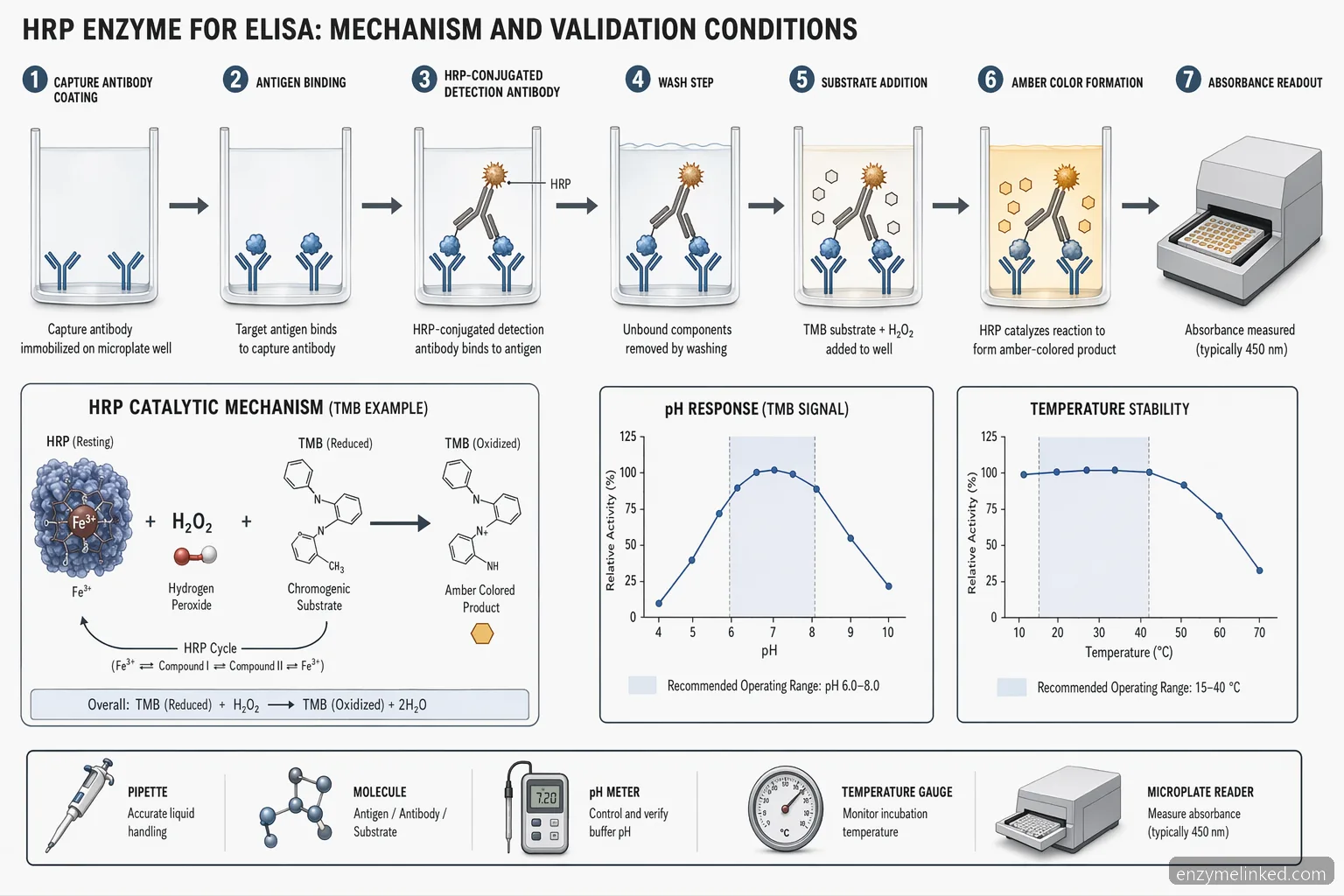 hrp enzyme til ELISA-procesdiagram med antistofkonjugering, substratfarveskift og pH- og temperaturkontrol