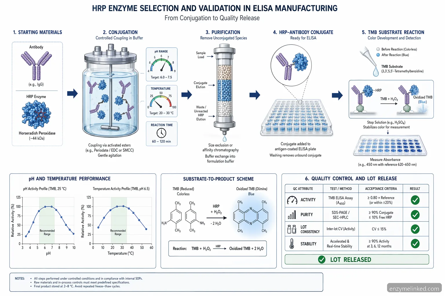hrp enzyme supplier for elisa process guide 도식으로, HRP conjugation flow와 pH, temperature, substrates, QC release tests를 연결