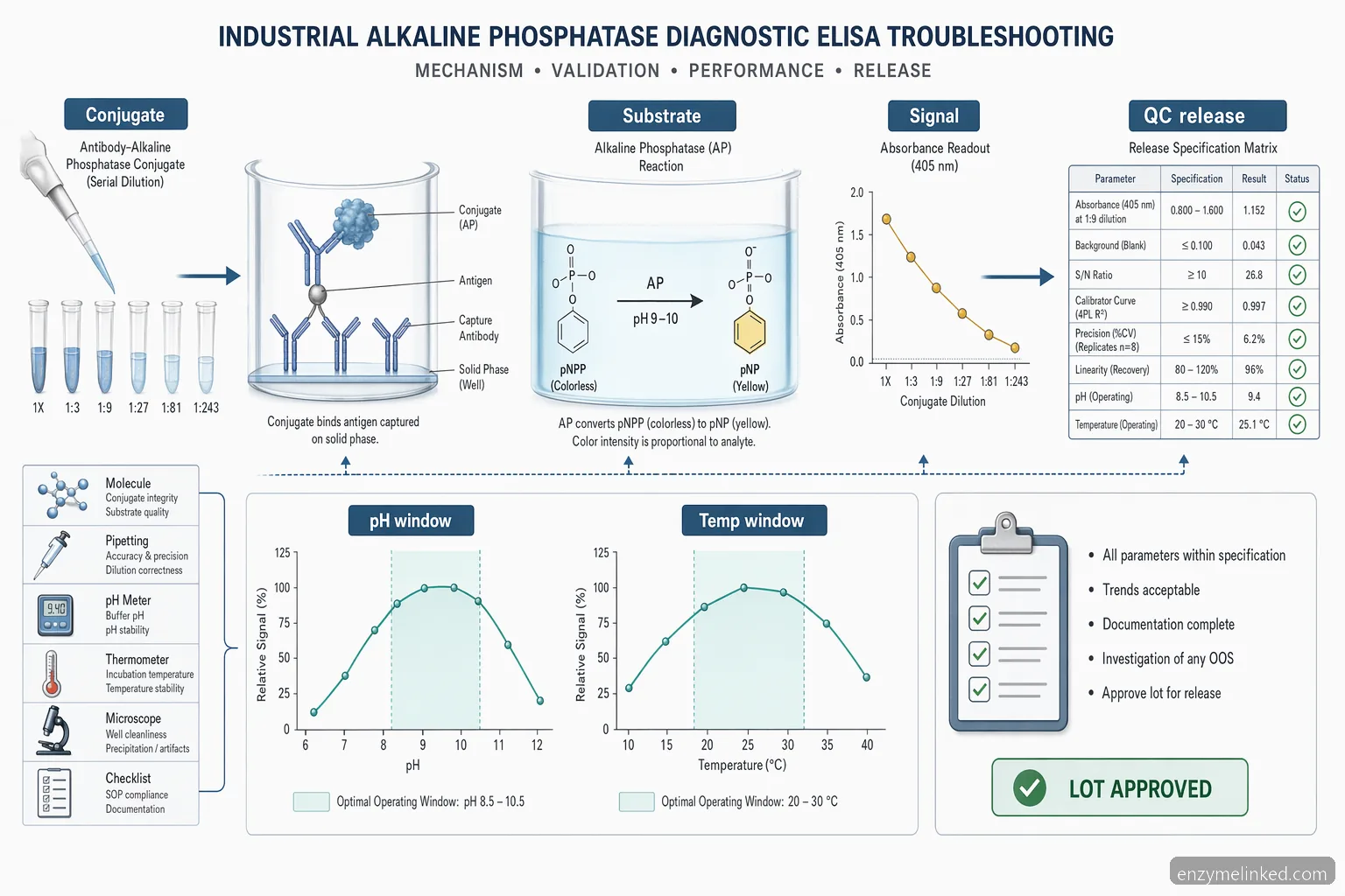 industrial alkaline phosphatase diagnostic elisa troubleshooting process 도식으로, conjugate dilution, substrate reaction, QC release를 보여줌