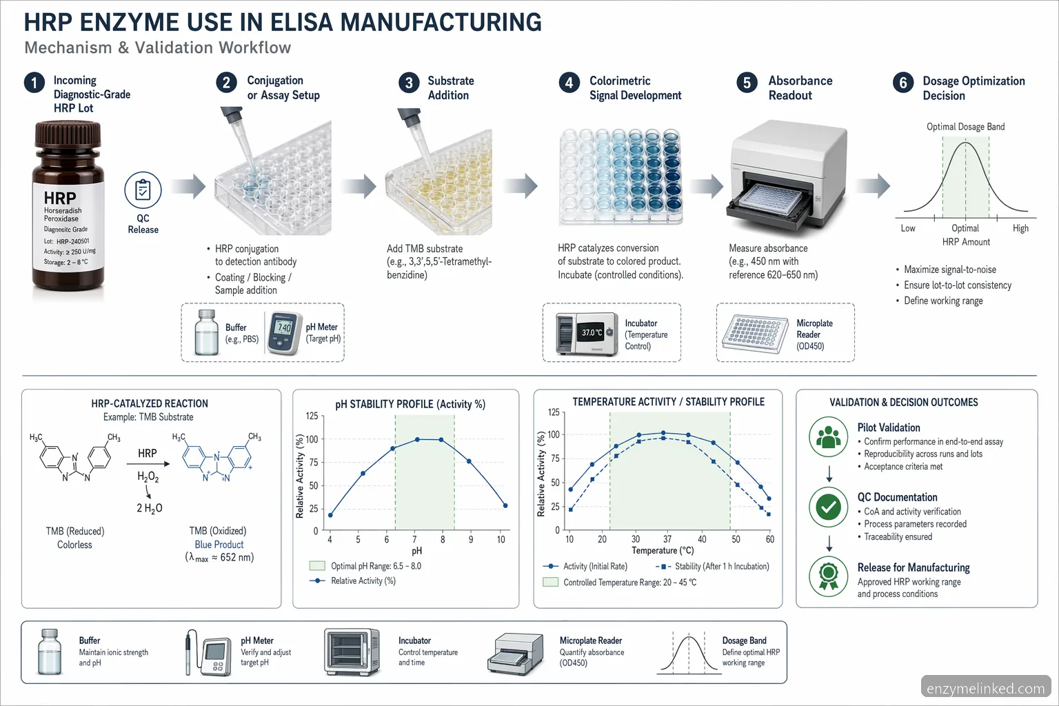 industrial hrp enzyme diagnostics ELISA process 도식으로, reaction flow, pH curve, temperature control, QC를 보여줌